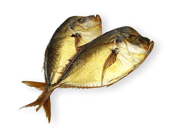 Рыба вомер - внешний вид, факты о вореме, размерная сетка и полезные свойства вомера | Defa group